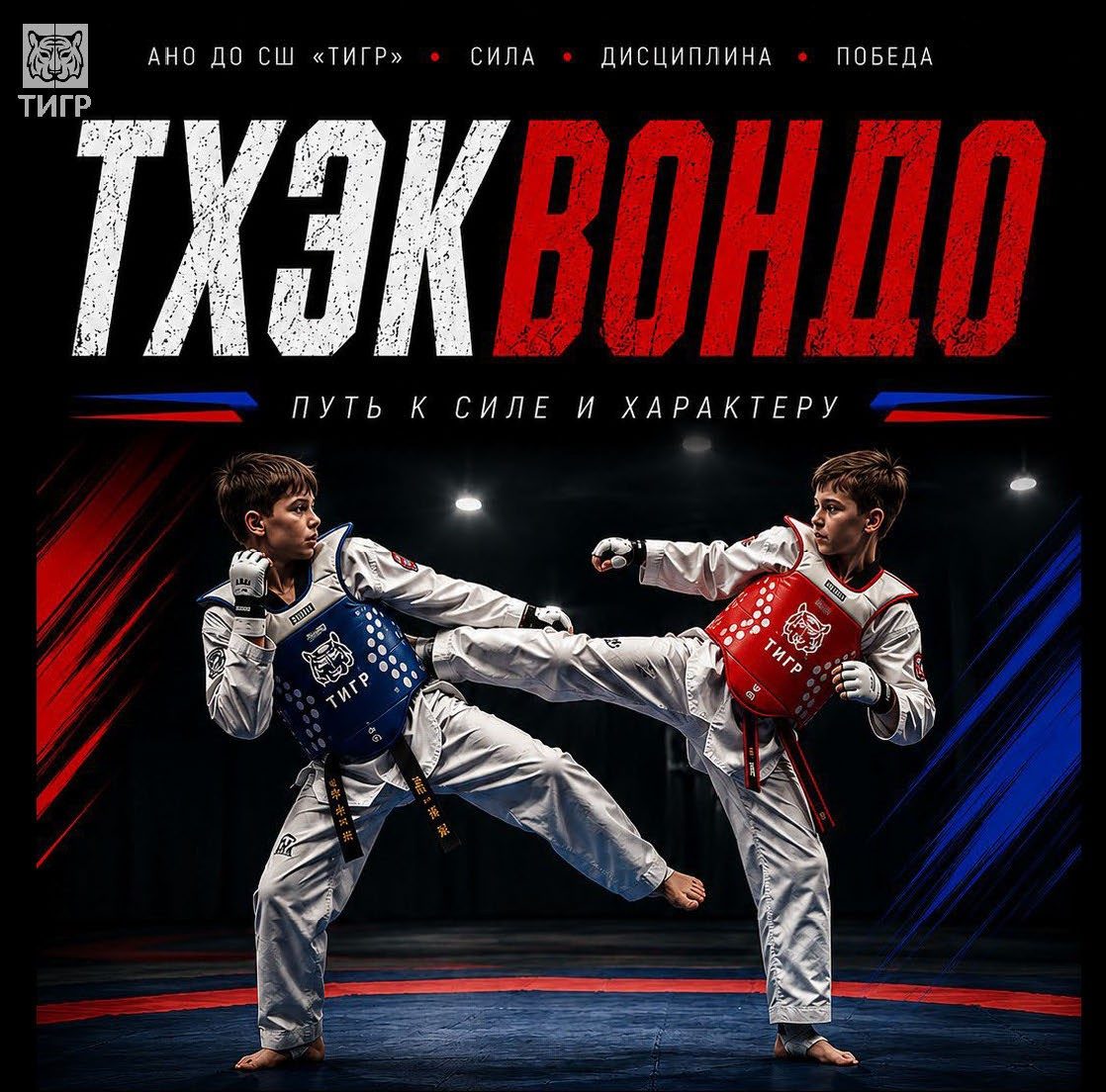 Тхэквондо в школе «ТИГР»